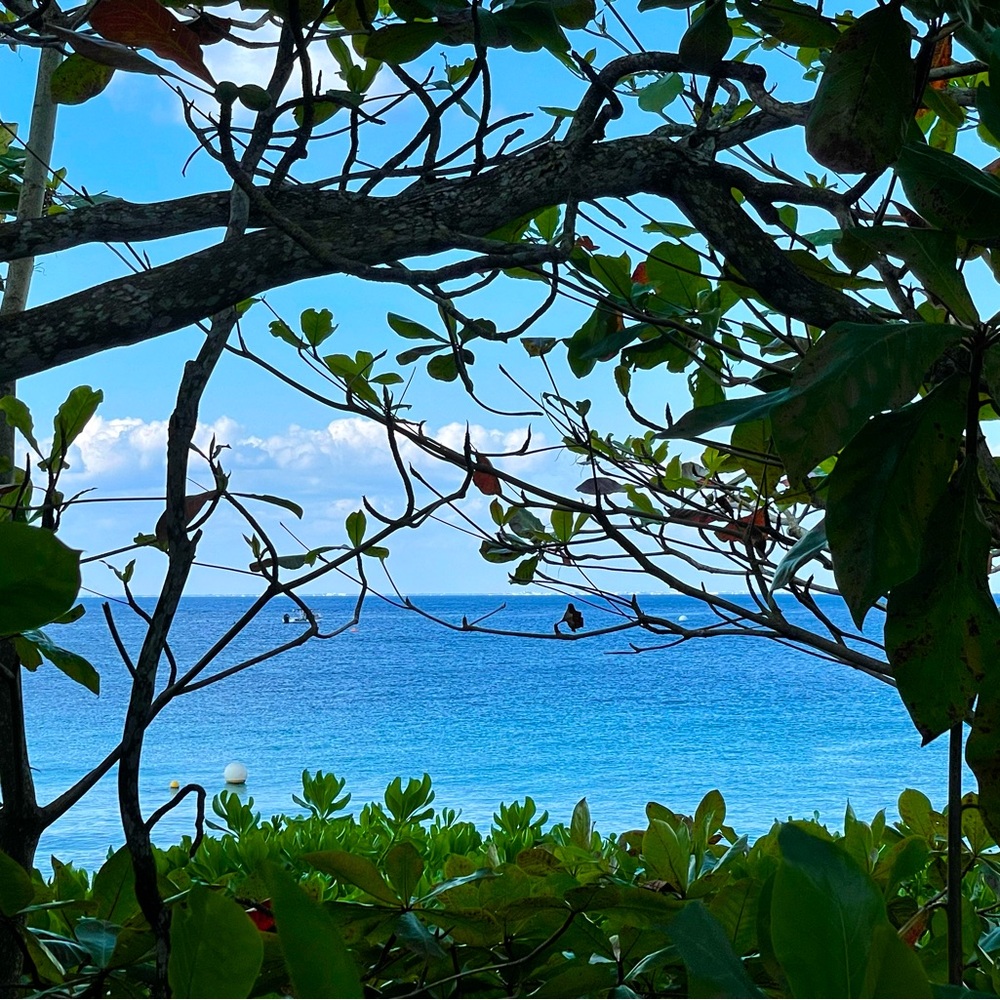 Meet your Posher